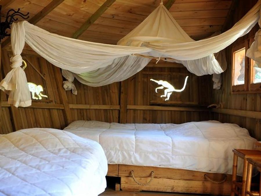 Hébergement 6 personnes - Cabane dans les arbres - Ouistitis 4