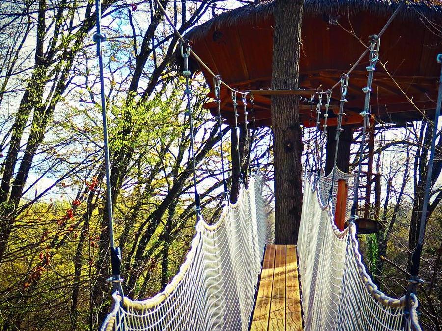 Hébergement 3 personnes - Cabane de la Canopée (à partir de 6 ans) 0