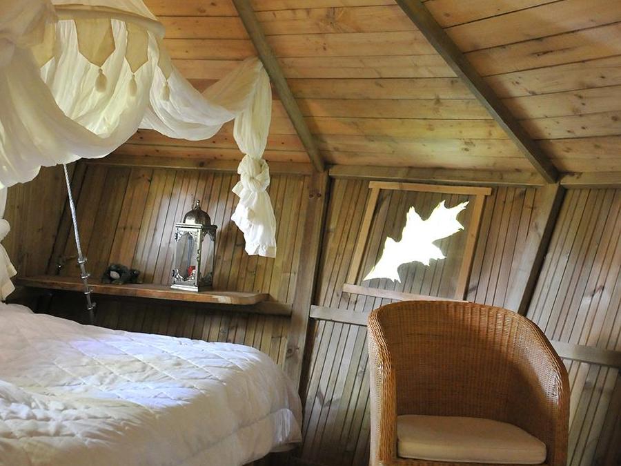 Hébergement 3 personnes - Cabane de la Canopée (à partir de 6 ans) 2