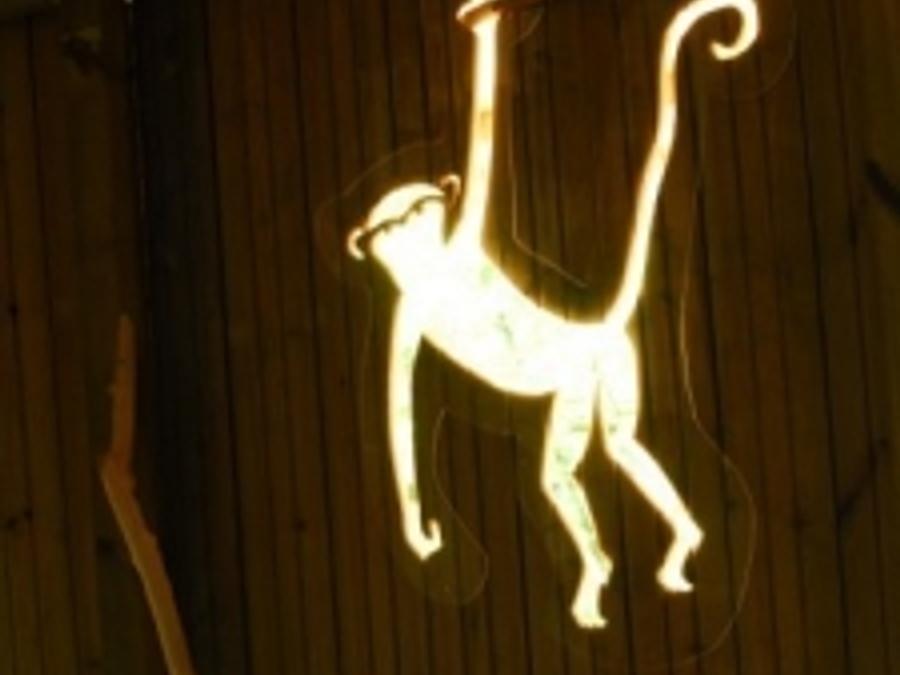Hébergement 4 personnes - Cabane Familiale des Chimpanzés (à partir de 2 ans) 0