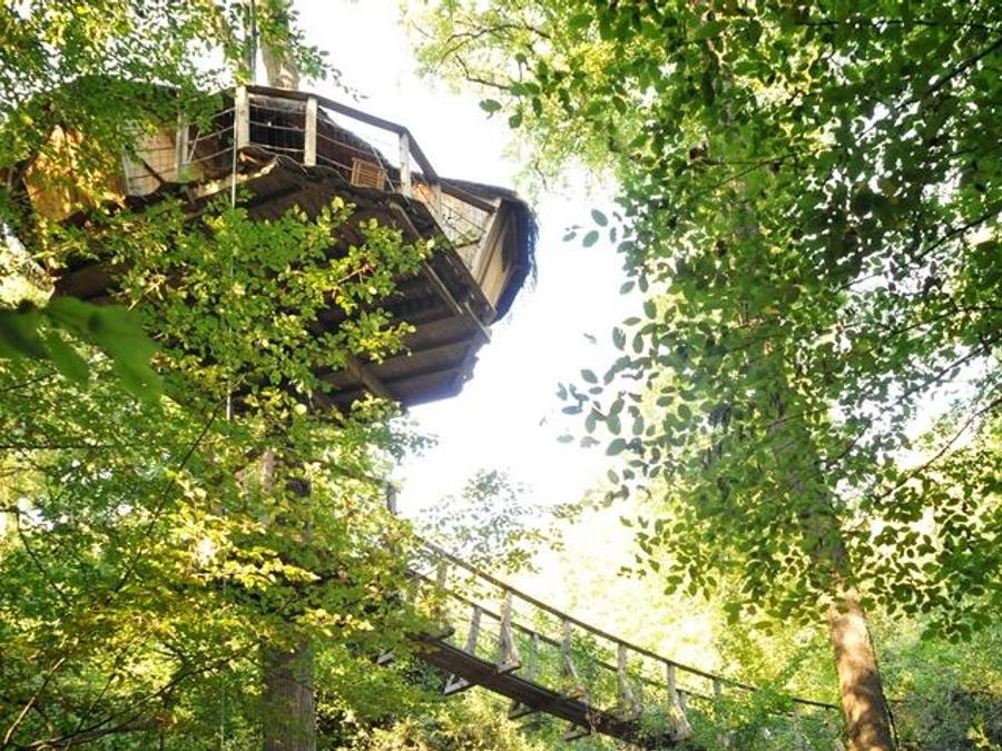 Hébergement 2 personnes - Cabane Amazonie (à partir de 12 ans) 0