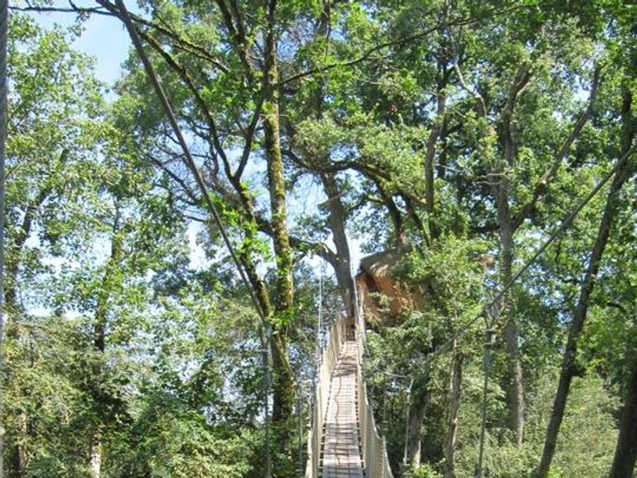 Hébergement 2 personnes - Cabane des Buis (à partir de 12 ans) 1