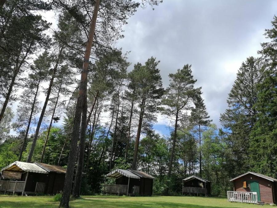 Chalet 4 personnes - Mini-chalet 12m² - 1 chambre (sans sanitaires) - terrasse couverte 1
