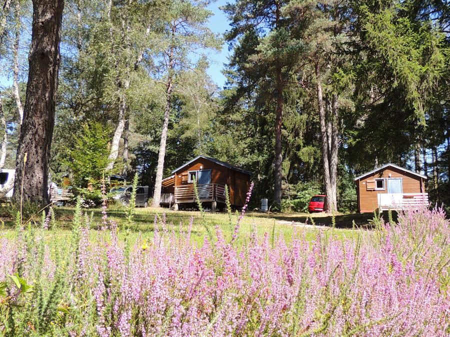 Chalet 4 personnes - Cabanature 12m² - 1 chambre (sans sanitaires)/petite terrasse non couverte 4