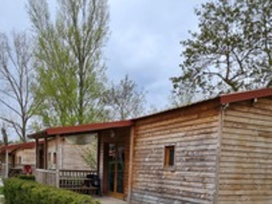 Chalet 2 personnes - Chalet Confort 35m² 1 chambre - climatisation + TV + Terrasse couverte 1