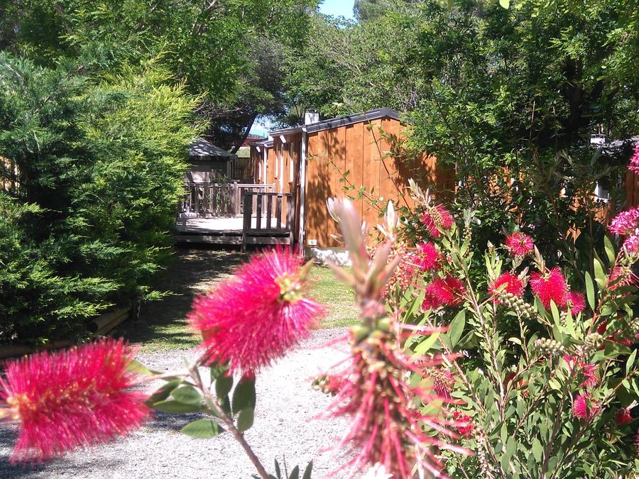 Mobilhome 4 personnes - Lodge Standard 4 p 2