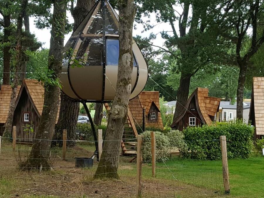 Insolite 2 personnes - Cabane la Goutte d'ô 4