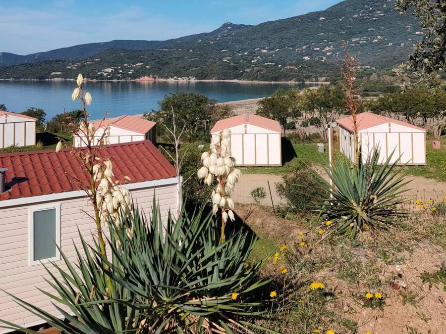 Chalet 5 personnes - Gitotel STANDART- Dimanche 0