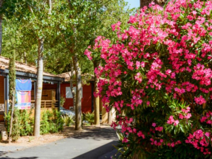 Chalet 4 personnes - Confort 6