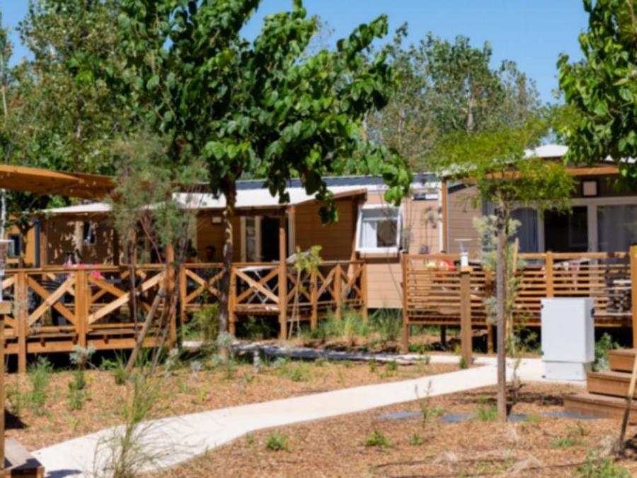 Mobilhome 2 personnes - SUNELIA MH PRESTIGE 1 CH 1 SDB 7