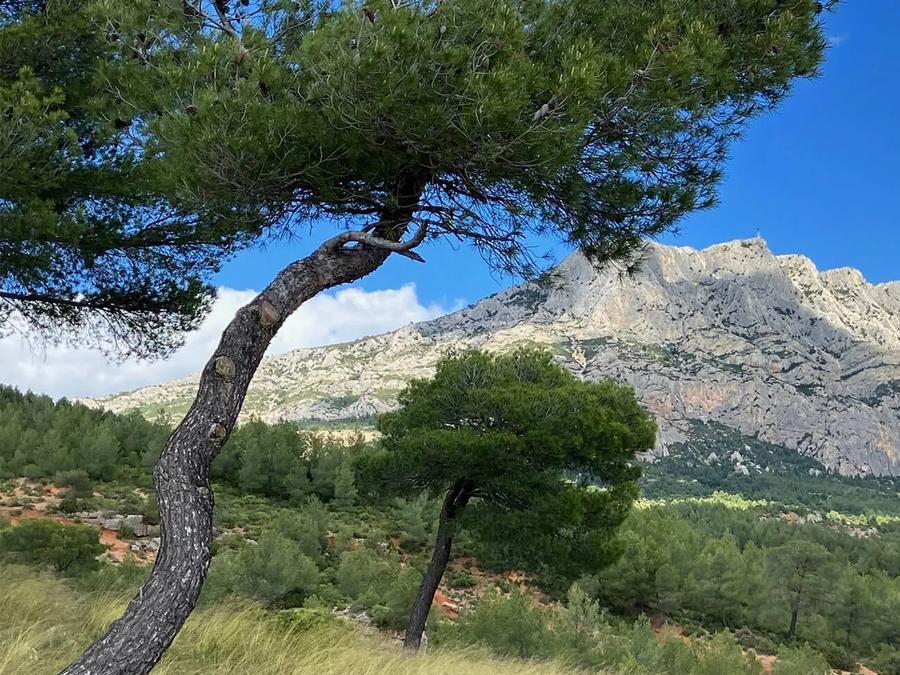 Camping Le Cezanne 2*