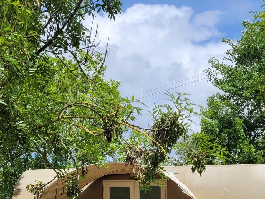 Bungalow toilé 4 personnes - Coco sweet sans sanitaires 0