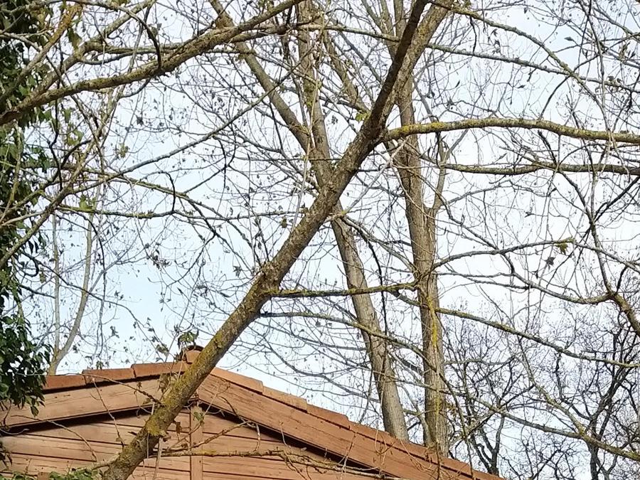 Chalet 4 personnes - sur pilotis à 2mètres de hauteur 2/4 places 30m² 8