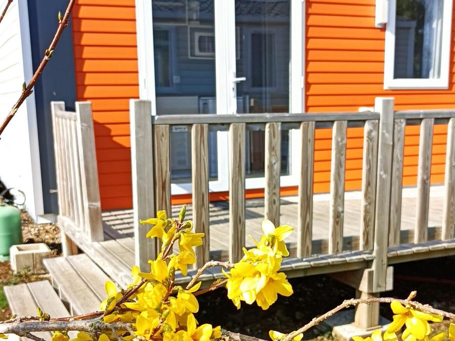 Mobilhome 2 personnes - Cahita Standard 17.8m² (1 chambre) + TV + Terrasse 0