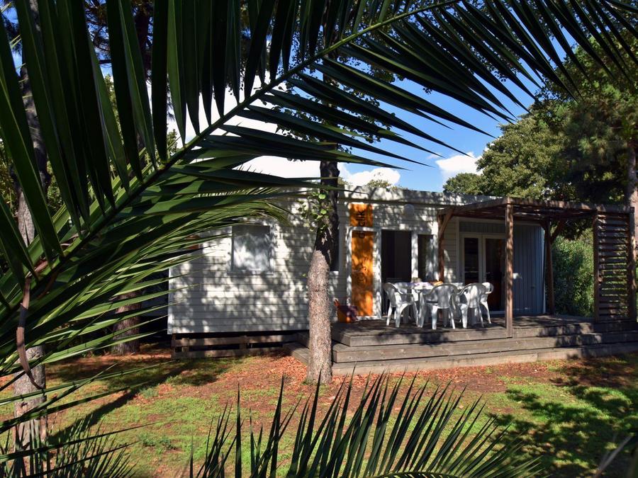 Bungalow 6 personnes - Bungalow Premium 3 chambres 6 pers 0