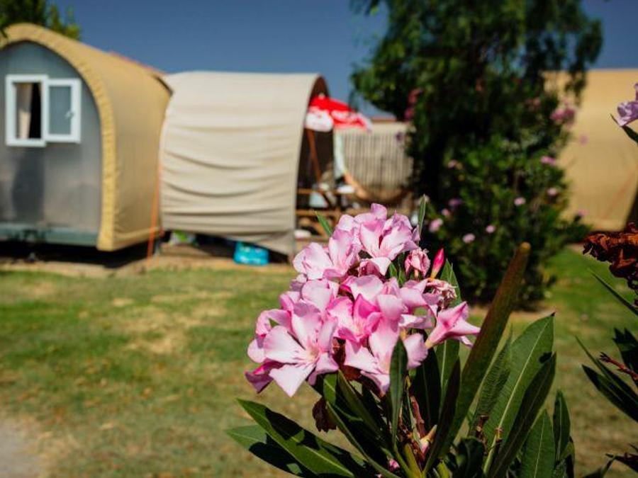 Tente en toile et en bois 4 personnes - C- Coco Lodge - 2 chambres 16m² 1