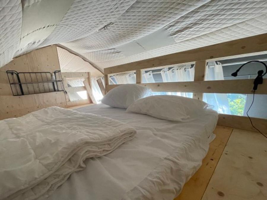 Unique 6 personnes - LODGE BIG OAK XXL 4