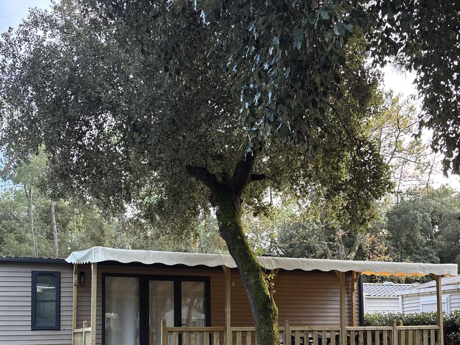 Mobilhome 6 personnes - 052 - 3 chambres 8