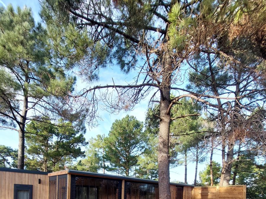 Mobilhome 6 personnes - 124 - 3 chambres 0