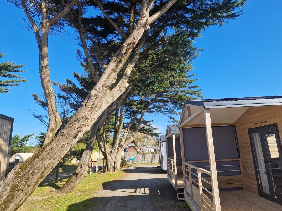 Mobilhome 4 personnes - MH Savana Lodge - 2 chambres - 24m² 4 pers 14