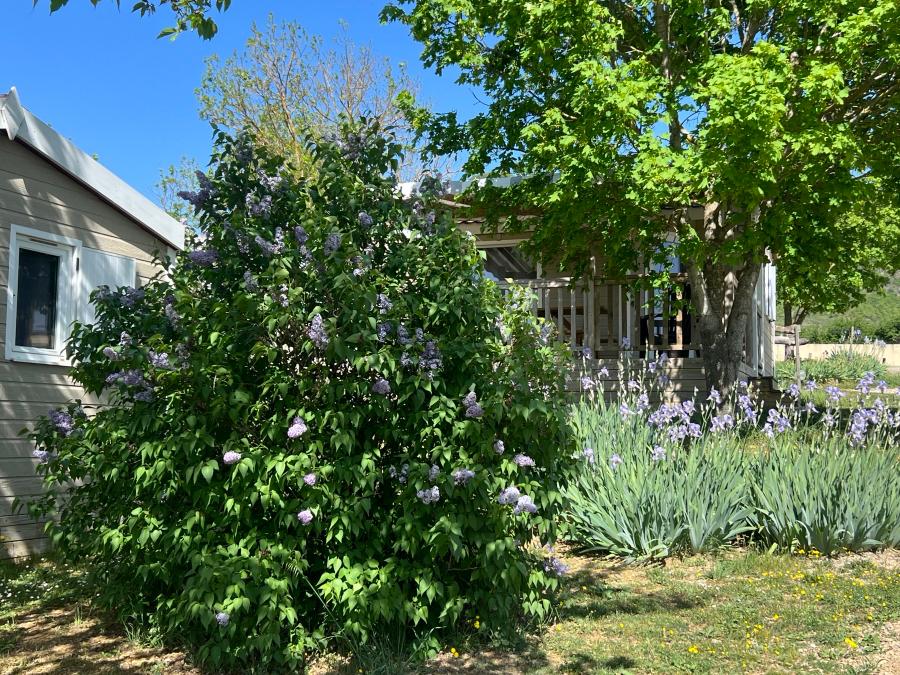 Chalet 5 personnes - 2 chambres 30m² 12