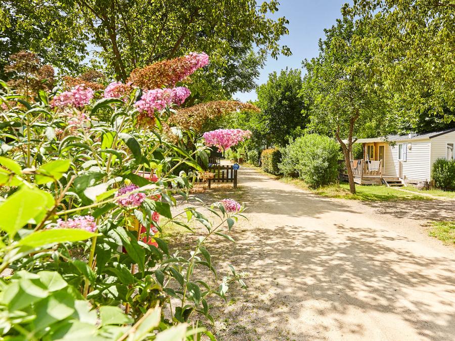 Mobilhome 3 personnes - COTTAGE PREMIUM 5