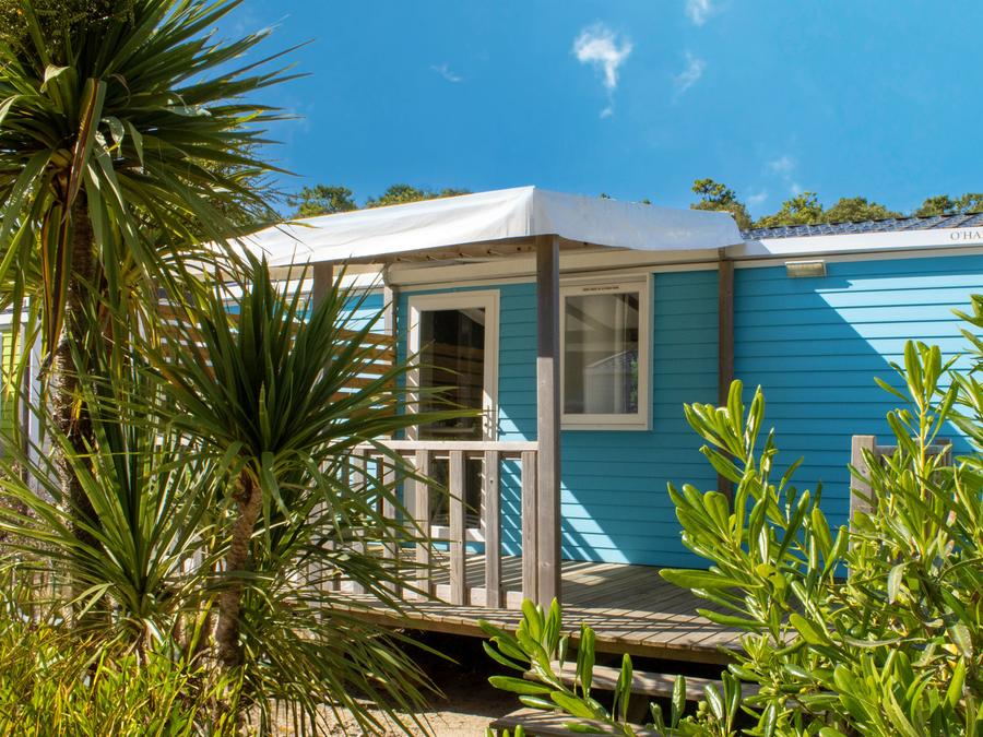 Mobilhome 4 personnes - Cottage LITCHI - 26m² - terrasse bois semi-couverte - 2 chambres 4 pers 0