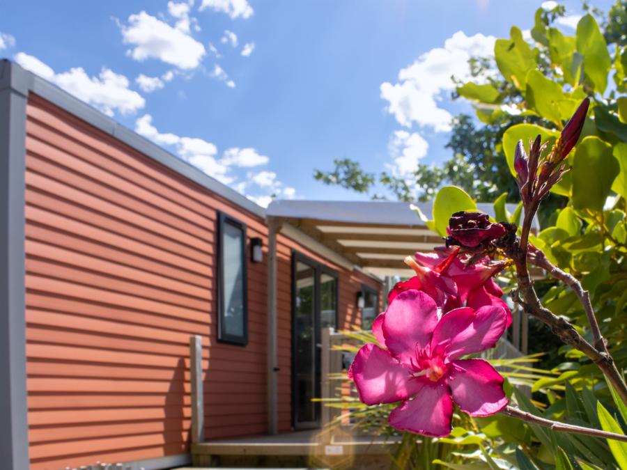 Mobilhome 6 personnes - Cottage PAPAYE - 33m² - Terrasse semi-couverte - 3 Chambres - 4/6 pers 1