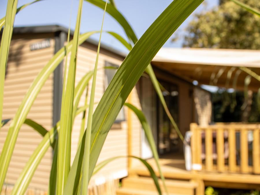 Mobilhome 4 personnes - Cottage TERRE ET MER - 30m² - terrasse bois semi-couverte - 2 chambres - 4 pers 8