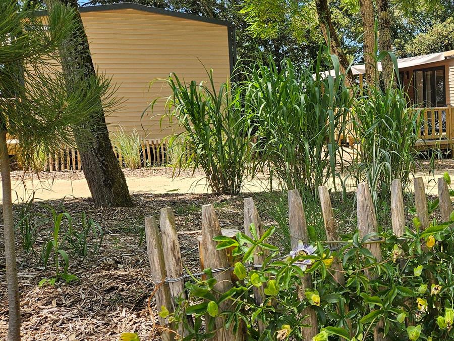 Mobilhome 4 personnes - Cottage PREMIUM