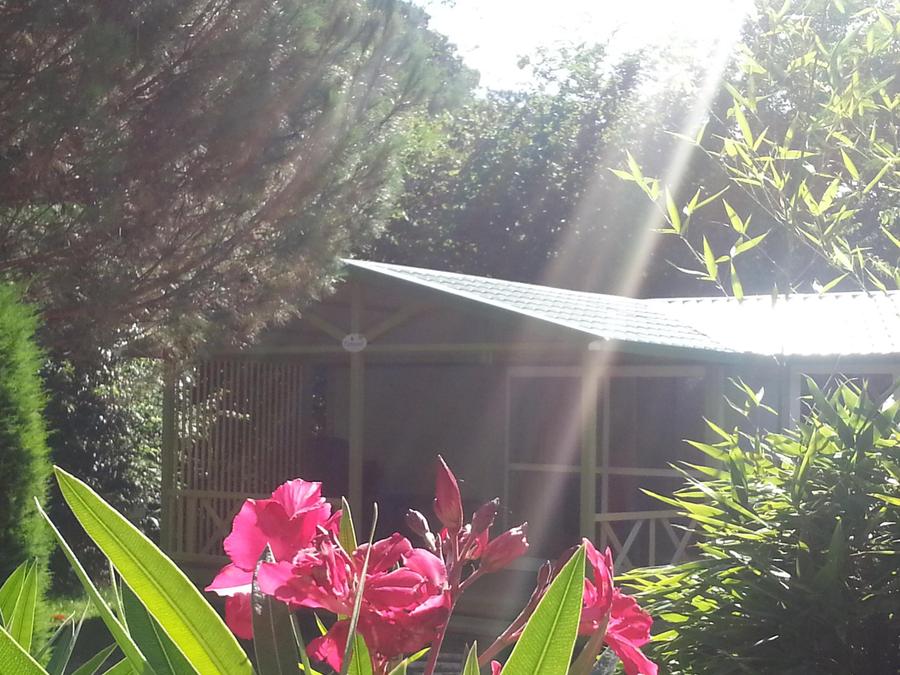 Chalet 2 personnes - Gitotel 1 chambre 2