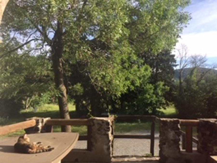 Lodge 5 personnes - Gîte rural : 'Le Gîte de Josette' 5