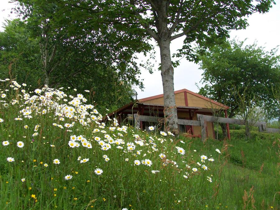 Chalet 5 personnes - 4 saisons 1