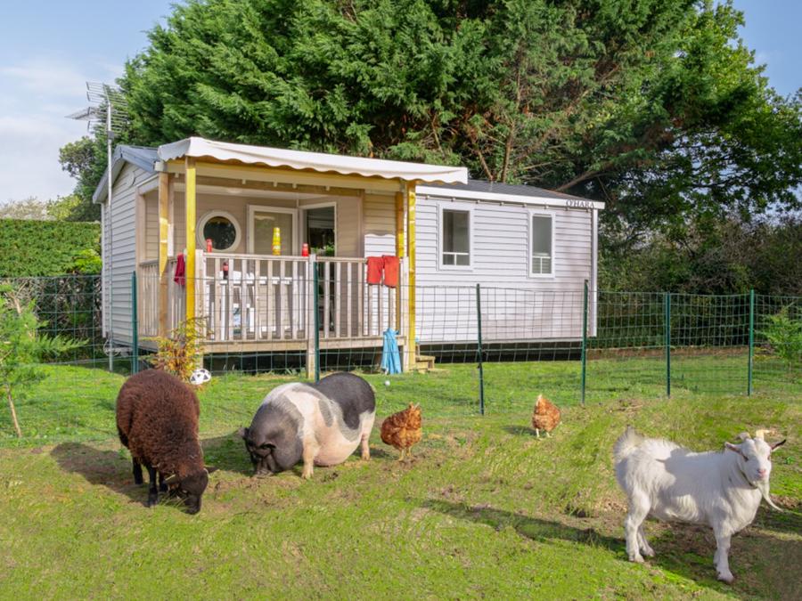 Mobilhome 4 personnes - Confort - 30 m² - 2 chambres - Vue Ferme 0