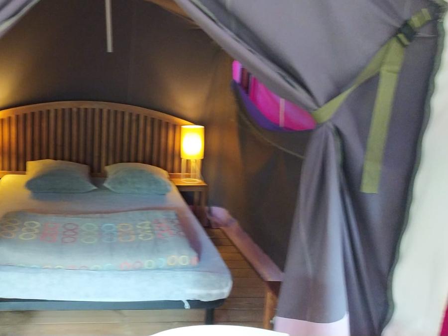 Bungalow toilé 5 personnes - Freeflower confort+ 37m² (sans sanitaires) 6