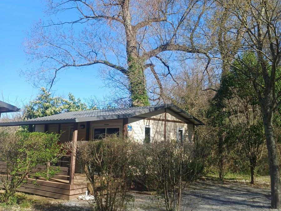 Chalet 6 personnes - CONFORT TIARE 32m² 3 chambres - Terrasse couverte 5