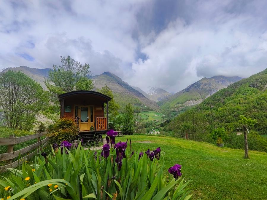 Tiny house 4 personnes - Roulotte Rhododendron 18 m² 3