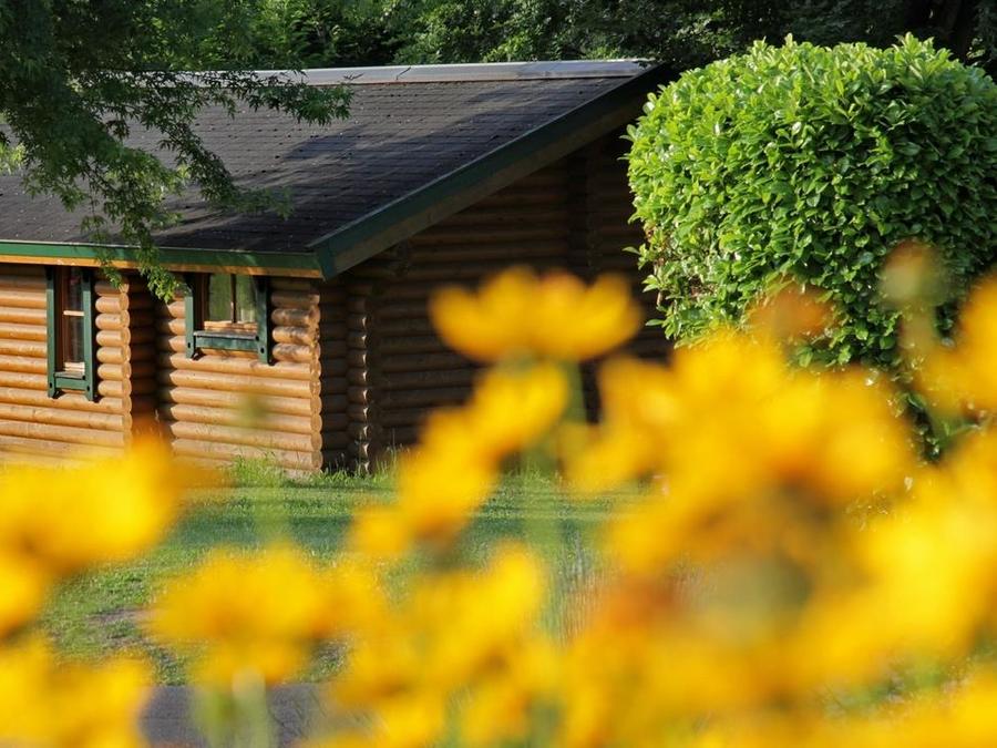 Chalet 4 personnes - chalet des marmottes 0