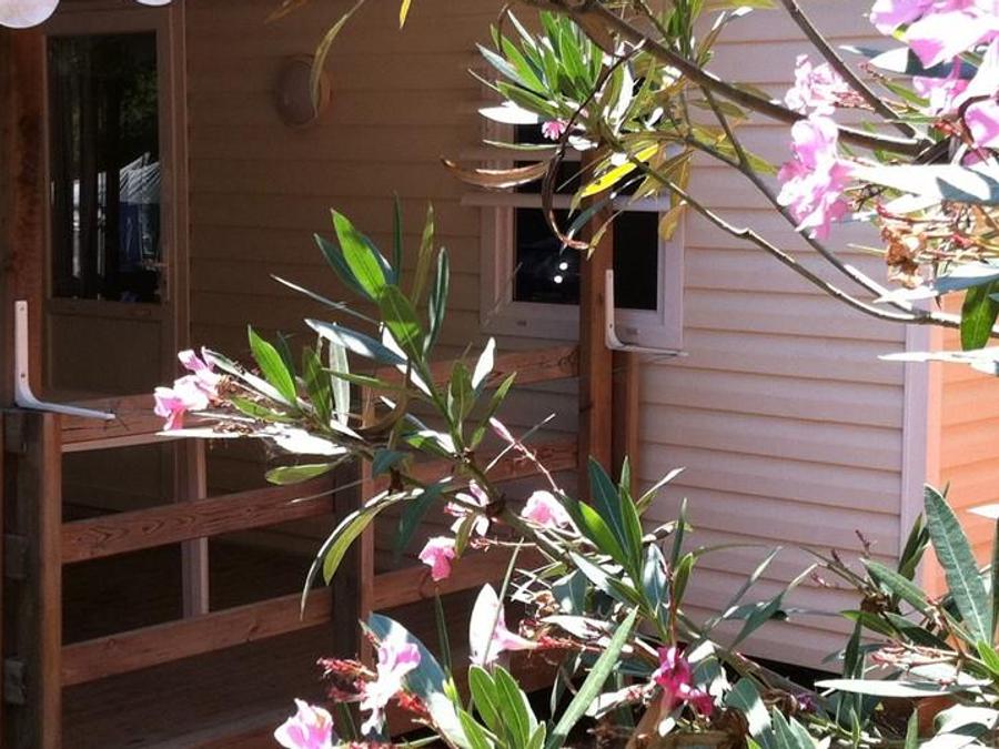 Mobilhome 4 personnes - LE LAVANDOU 4