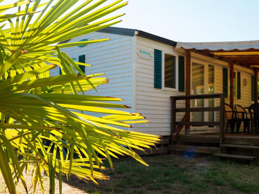 Mobilhome 6 personnes - Mobil Home Team Essentiel , 3 chambres 0