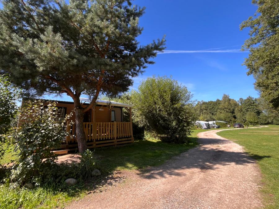 Bungalow 5 personnes - Chêne 28 m² avec terrasse bois semi-couverte 1
