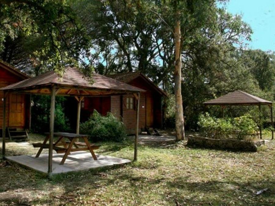 Chalet 4 personnes - Chalet Arbousier 2 chambres 4