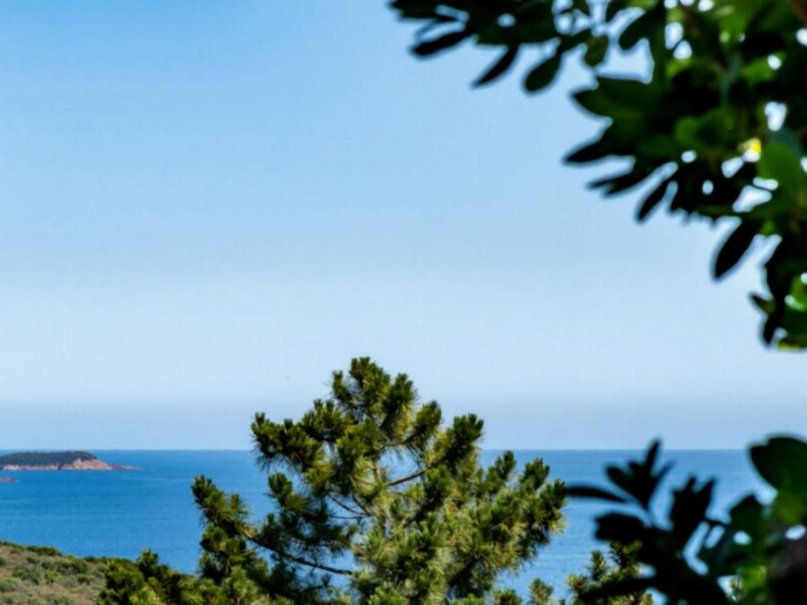 Chalet 4 personnes - Chalet Lilas 2/4pers 1