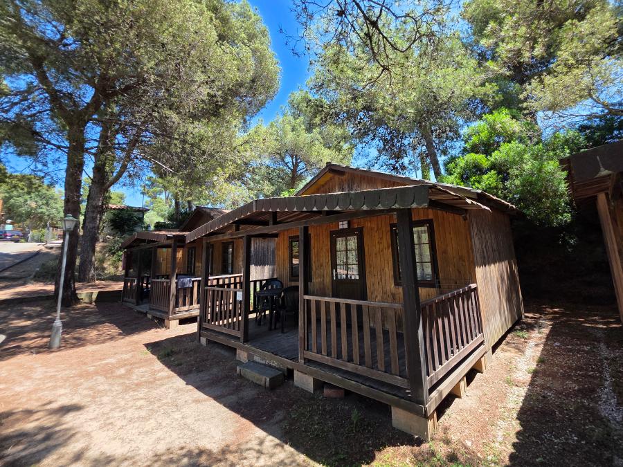 Chalet 2 personnes - Classic 1 chambre sans sanitaire 4