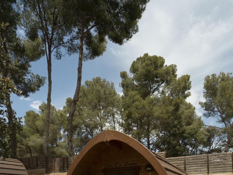 Hébergement 2 personnes - Cottage Insolite - Cabane forestière 6