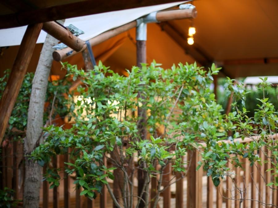 Tente en toile et en bois 4 personnes - Lodge Safari 27 m² 4