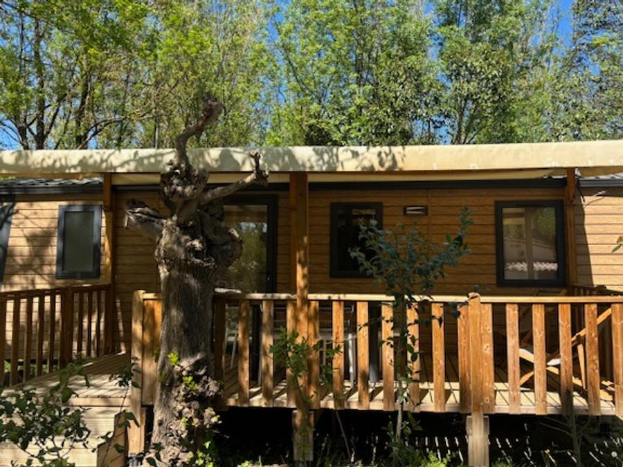 Tente en toile et en bois 6 personnes - Lodge Safari 0