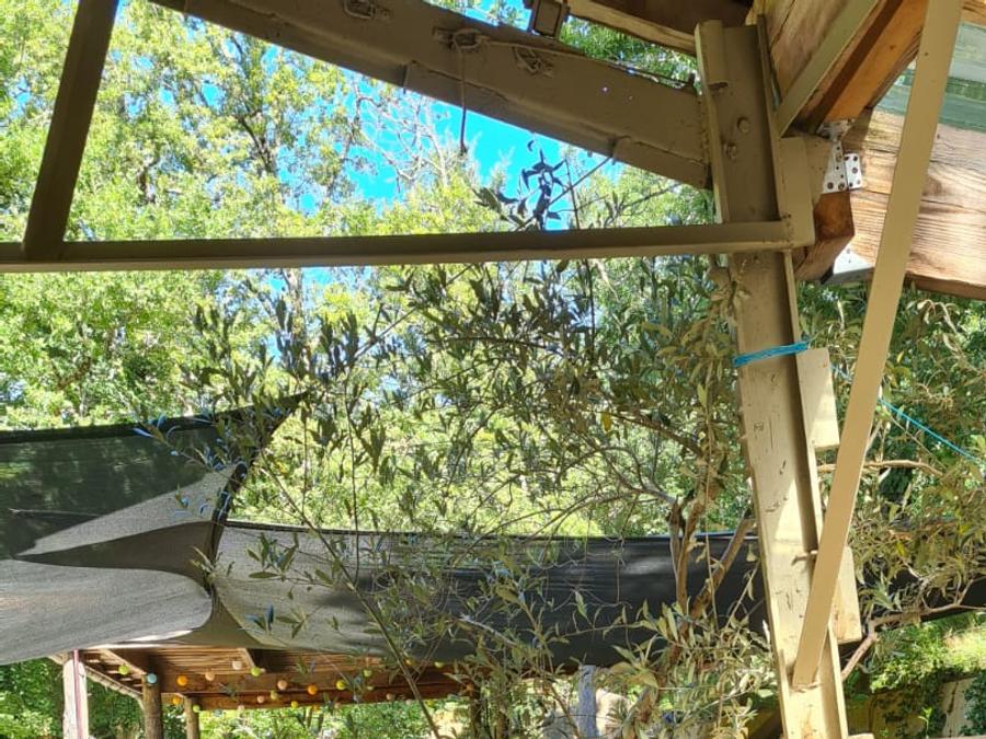 Tente en toile et en bois 3 personnes - Shimoni - 16 m² + terrasse 12 m² 5