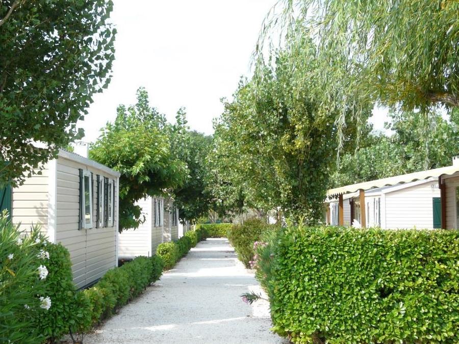 Mobilhome 4 personnes - PARADIS deux chambres 30 m², avec sanitaires 1