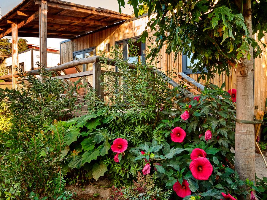 Mobilhome 4 personnes - Lodge Pacifique 12